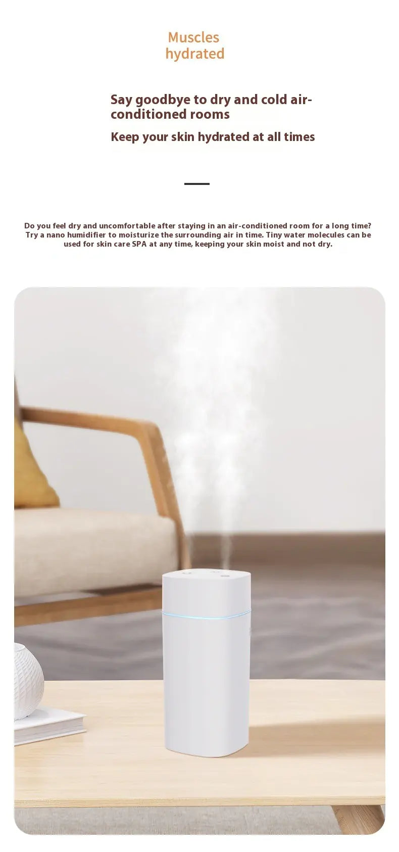 Dual Mist USB Room Humidifier 600ml